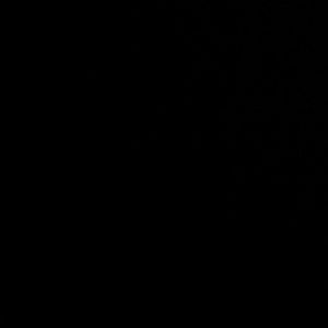 Meet your Posher, Armando